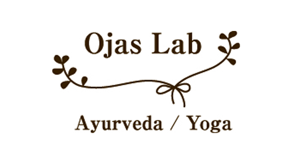 Shakty Lab